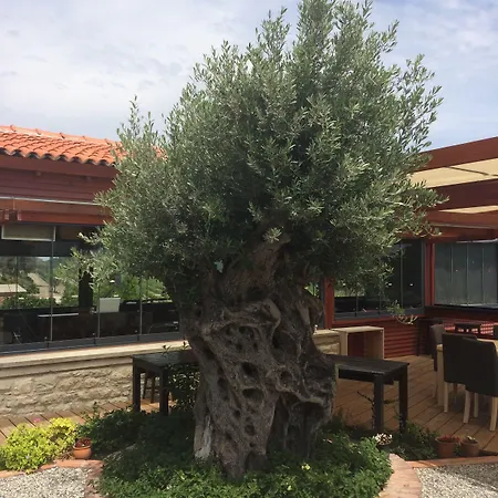 酒店 Urla Bagevi Yağcılar