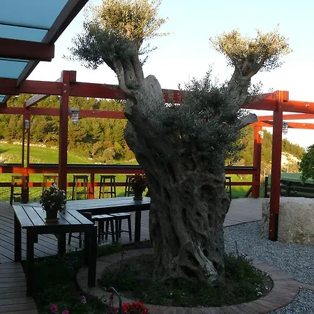 酒店 Urla Bagevi